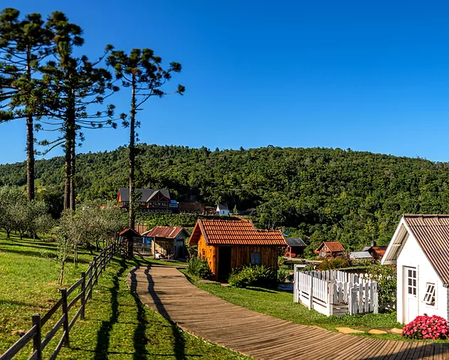 olivas-de-gramado