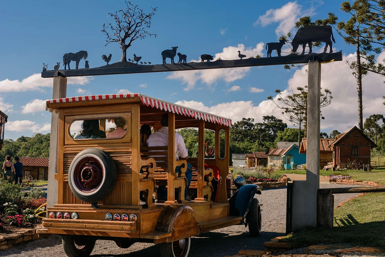 olivas de gramado tour rural